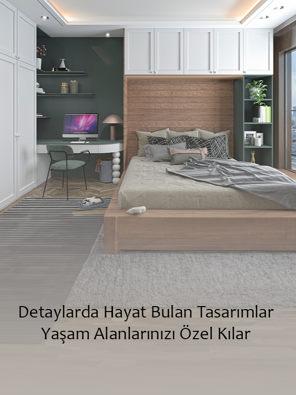 RAYDOLAP |